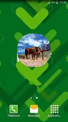 Play Anime Horse Clock Widget