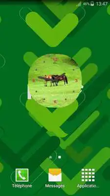 Play Anime Horse Clock Widget