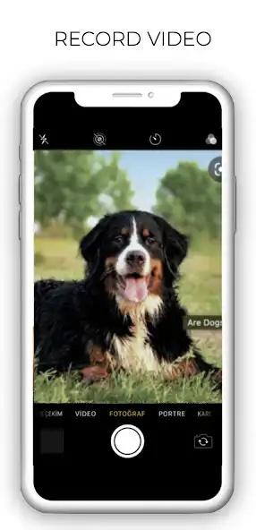 Play AniMotion as an online game AniMotion with UptoPlay