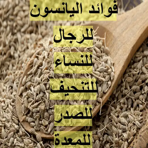 Play Anise benefits APK