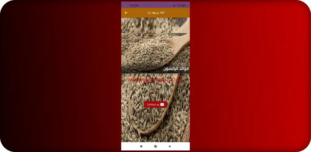 Play Anise benefits as an online game Anise benefits with UptoPlay