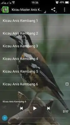 Play Anis Kembang Chirping