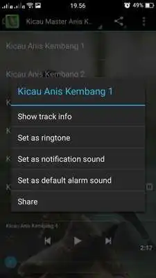 Play Anis Kembang Chirping