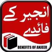 Free play online Anjeer k Fawaid (Benefits Of Fig) APK