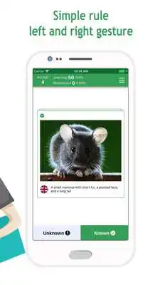 Play Anki Flashcards