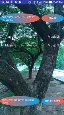 Play Another Day in Paradise