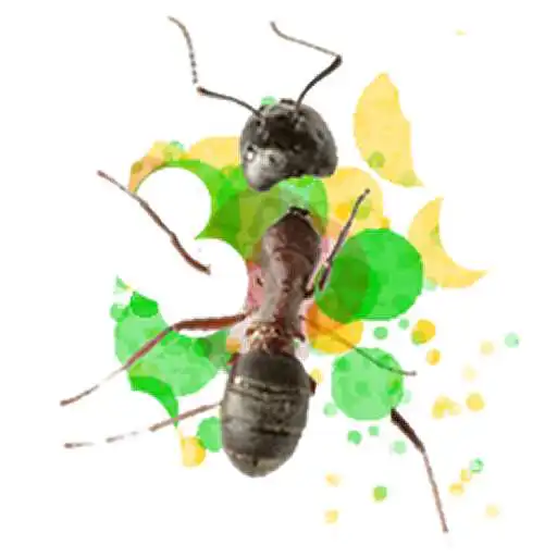 Free play online Ant and fly Smasher APK