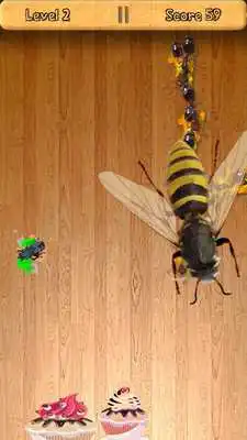 Play Ant and fly Smasher