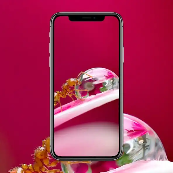 Play Ant Animal Wallpaper and enjoy Ant Animal Wallpaper with UptoPlay Play Ant Animal Wallpaper and enjoy Ant Animal Wallpaper with UptoPlay