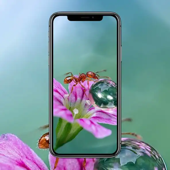 Play Ant Animal Wallpaper as an online game online Ant Animal Wallpaper with UptoPlay Play Ant Animal Wallpaper as an online game Ant Animal Wallpaper with UptoPlay