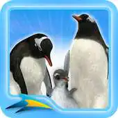Free play online Antarctica APK