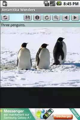 Play Antarctica Wonders