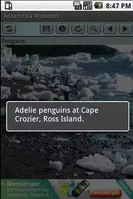 Play Antarctica Wonders