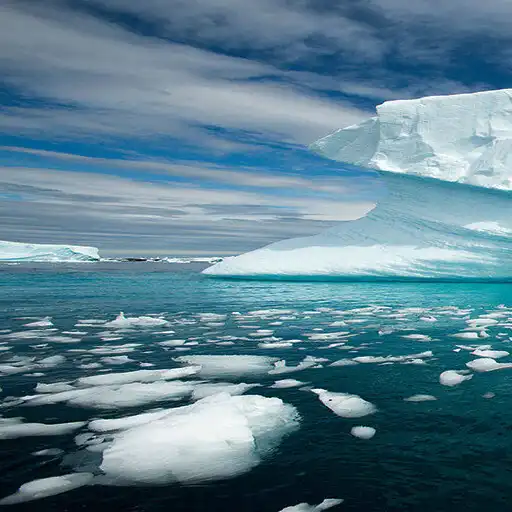 Play Antartica Wallpaper APK