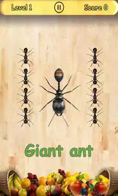 Play Ant Blast