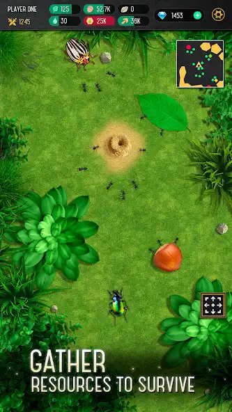 Play Ant Colony Simulator  and enjoy Ant Colony Simulator with UptoPlay