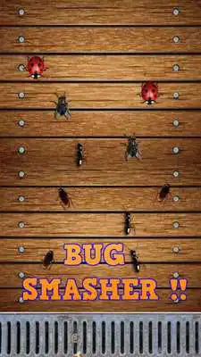 Play Ant Contract Killer - Smasher Play Ant Contract Killer - Smasher
