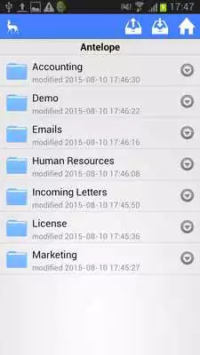 Play Antelope Enterprise