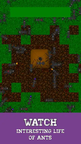 Play Ant Evolution: Ant Simulator  and enjoy Ant Evolution: Ant Simulator with UptoPlay
