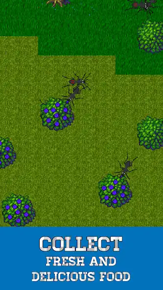 Play Ant Evolution: Ant Simulator as an online game Ant Evolution: Ant Simulator with UptoPlay