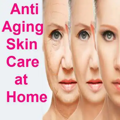 Play Anti Aging Skin Care Play Anti Aging Skin Care