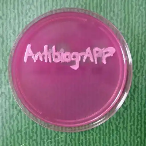 Play AntibiogrAPP APK