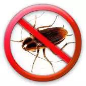 Free play online Anti Cockroach Prank APK Free play online Anti Cockroach Prank APK