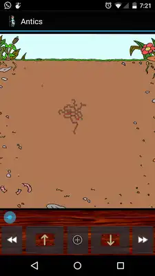 Play Antics