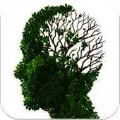 Free play online Anti Digital Dementia:Contacts APK Free play online Anti Digital Dementia:Contacts APK