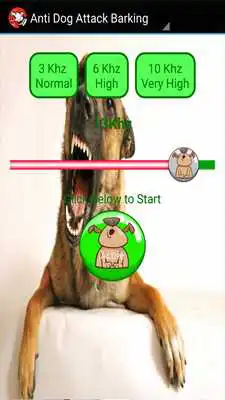 Play Anti Dog Attack Barking  Prank