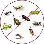 Free play online Anti Insect Repellent Pro APK Free play online Anti Insect Repellent Pro APK