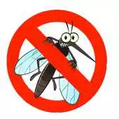 Free play online Anti Insects Prank APK