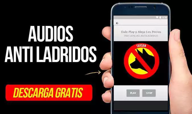 Play Antiladridos Antiperros