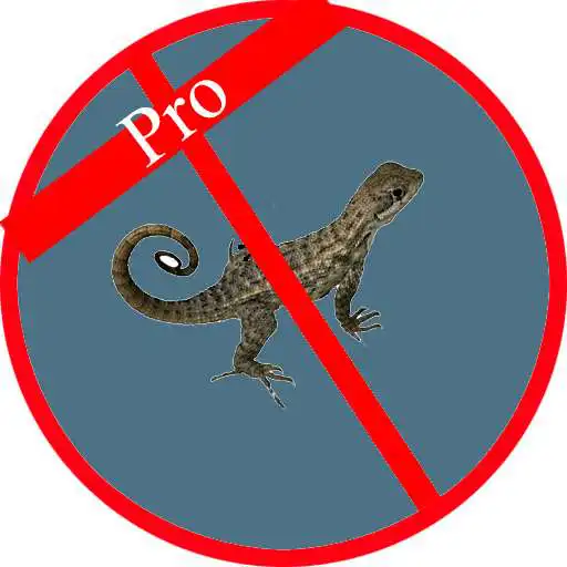 Free play online Anti Lizard APK Free play online Anti Lizard APK