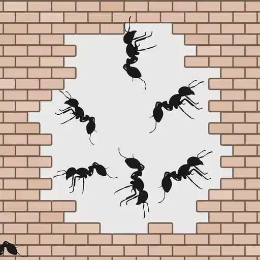 Play Ant Imagine APK