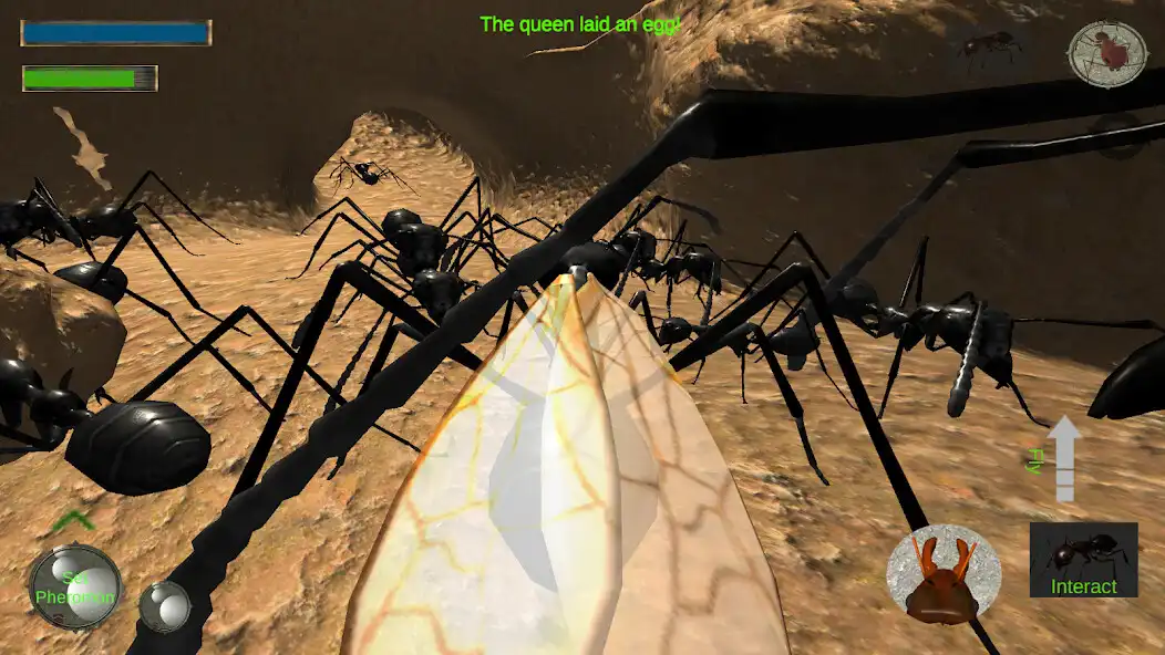 Play Ant Simulation 3D Full  and enjoy Ant Simulation 3D Full with UptoPlay