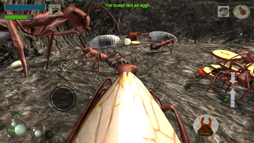 Play Ant Simulation 3D Full as an online game Ant Simulation 3D Full with UptoPlay