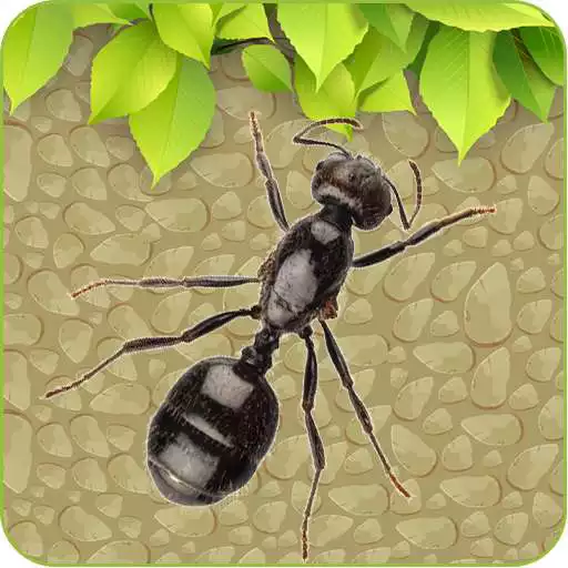 Play Ant Smasher- 2018 APK