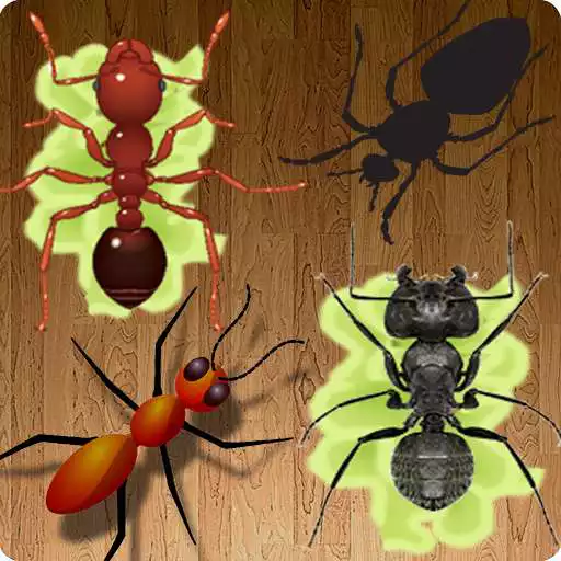 Run free android online Ant Smasher Free APK