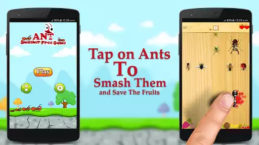 Play Ant Smasher Game