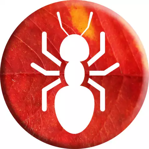 Free play online Ant Smasher APK Free play online Ant Smasher APK