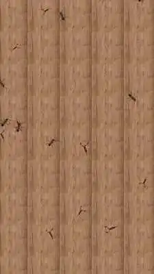 Play Ant Smash Funny Play Ant Smash Funny