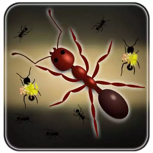 Free play online Ant Smash LiveWallpaper APK Free play online Ant Smash LiveWallpaper APK