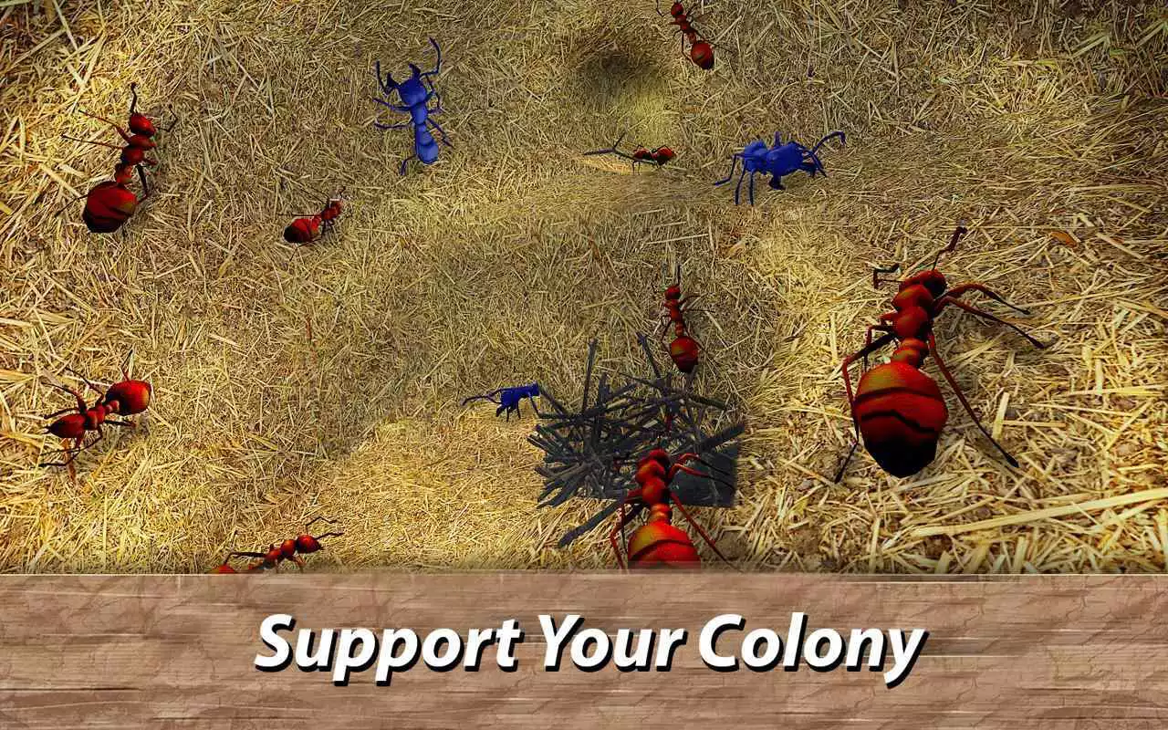 Play Ants Survival Simulator