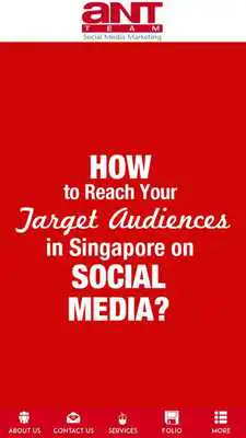 Play Ant Team SocialMedia Marketing Play Ant Team SocialMedia Marketing