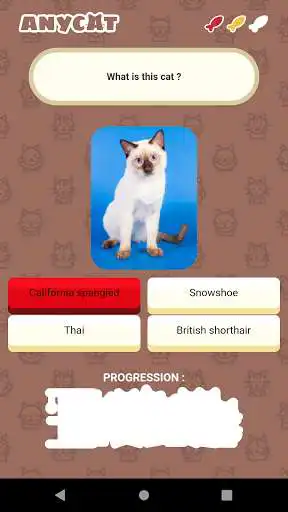 Play Anycat as an online game Anycat with UptoPlay