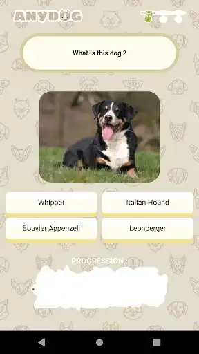 Play Anydog as an online game Anydog with UptoPlay