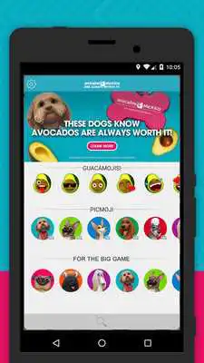 Play Anything For Avos