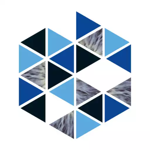 Play ANZSGM ASM 2021 Conference Portal APK
