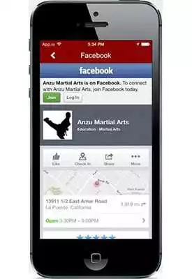 Play Anzu Martial Arts Play Anzu Martial Arts